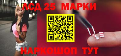 соль ск Бердск