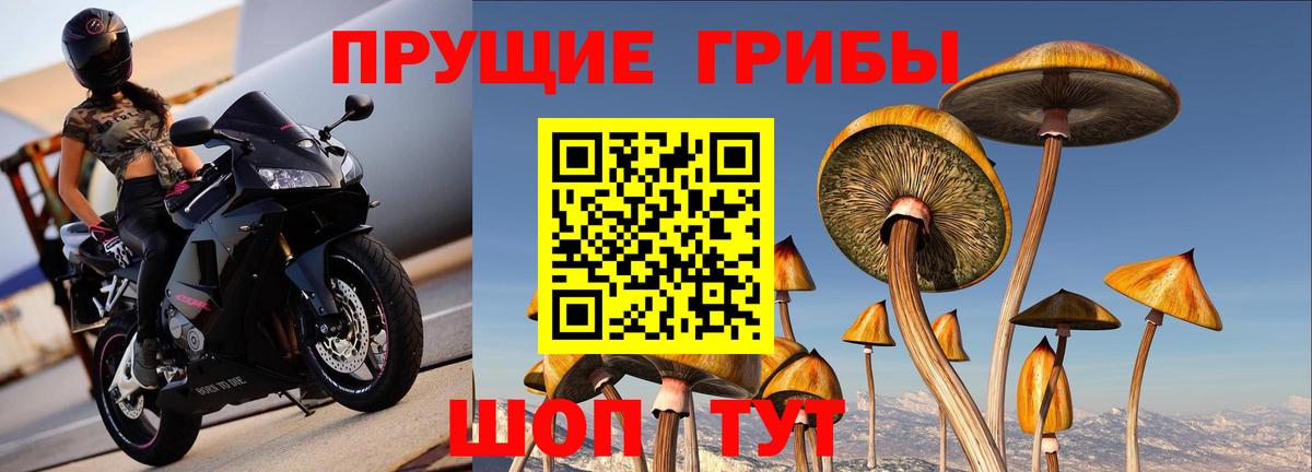 Галлюциногенные грибы мицелий Новотроицк